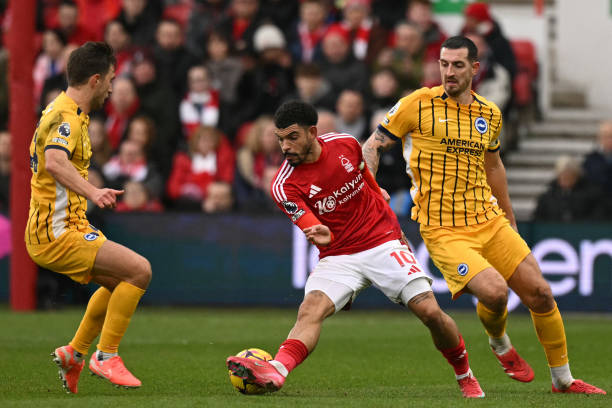 风格和充满 风格和充满